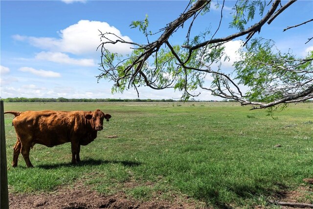 00 E County Road 2140, Kingsville, TX 78363 - photo 7