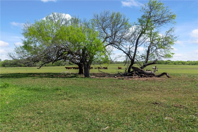 Listing photo 3 for 00 E County Road 2140, Kingsville TX 78363