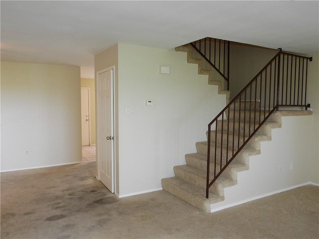 stairs featuring carpet