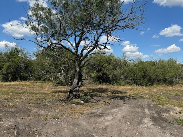 view of nature