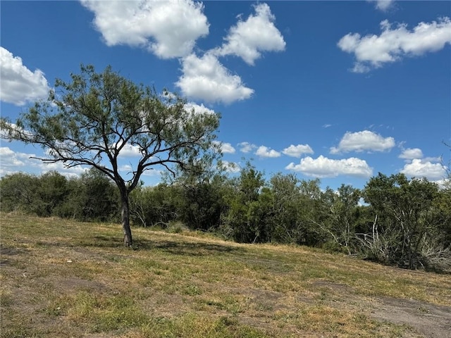 view of landscape