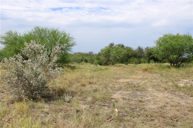 Listing photo 3 for 00LOT3 Vista Fina Dr, Sandia TX 78383