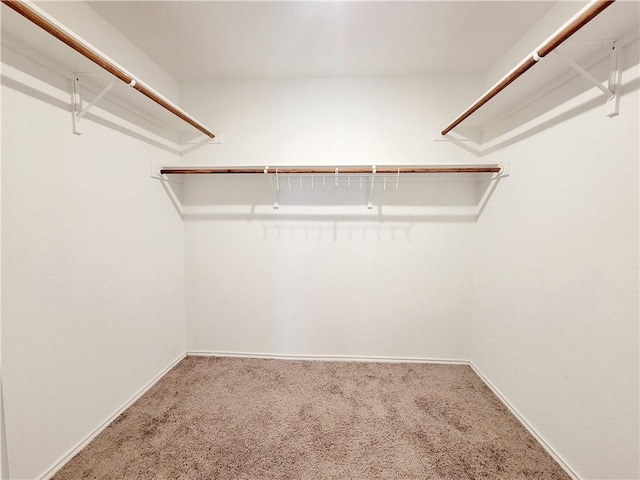 walk in closet with carpet