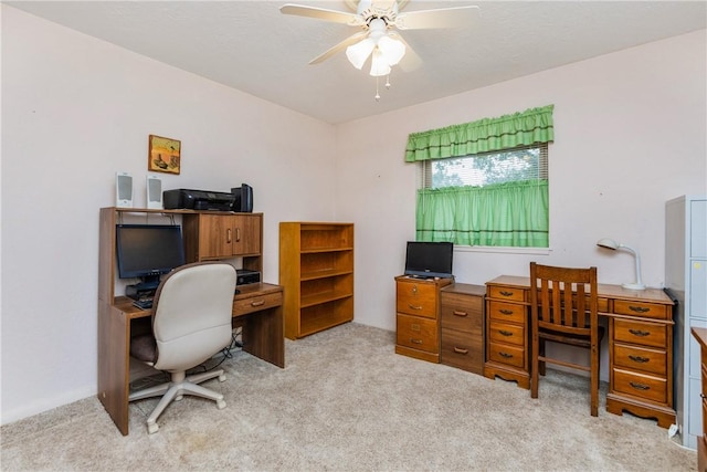 office featuring carpet flooring and a ceiling fan