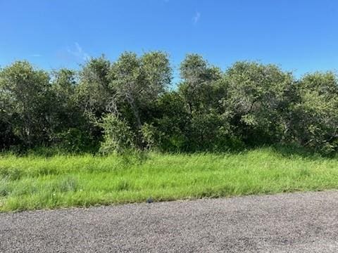 403 Forest Oak Ln, Rockport, TX 78382 - photo 2