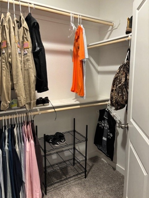 walk in closet featuring carpet flooring