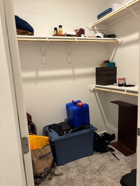 walk in closet featuring carpet flooring