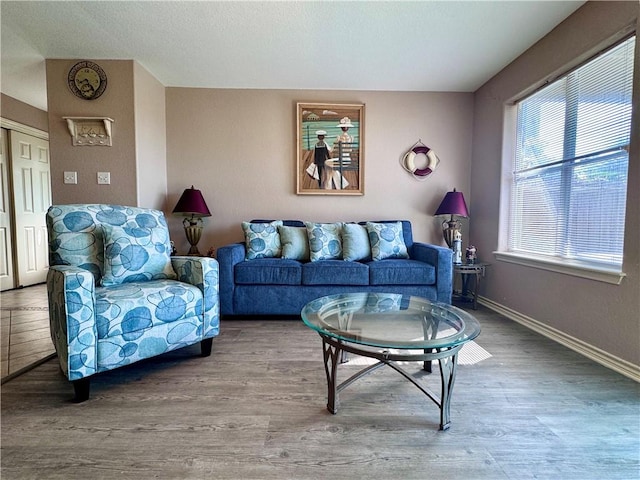 15125 Leeward Dr Unit 10, Corpus Christi, TX 78418 - living room featuring wood finished floors and baseboards
