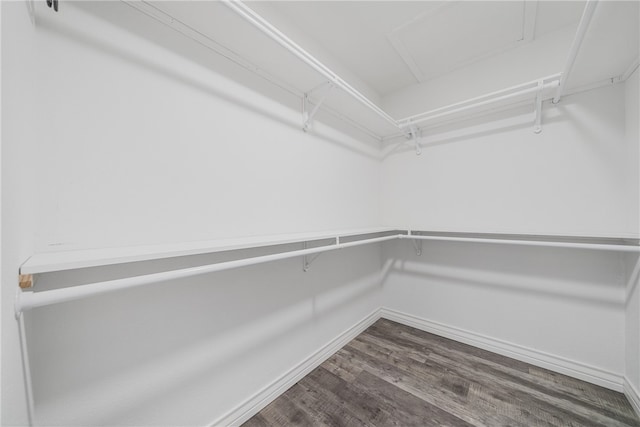 walk in closet featuring dark wood-type flooring