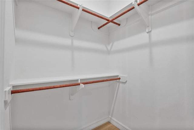 4338 Starlite, Corpus Christi, TX 78410 - spacious closet featuring light wood-style flooring
