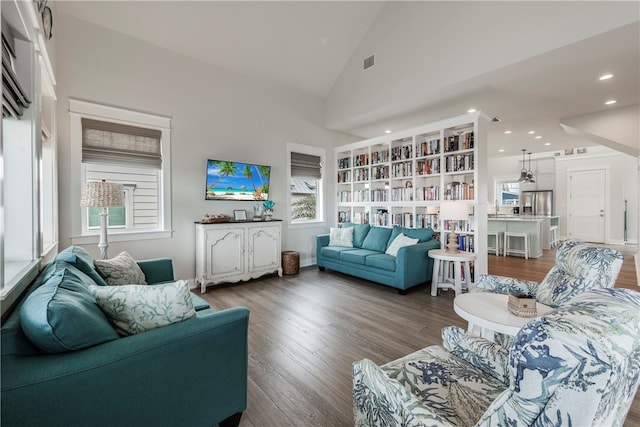 living room with high vaulted ceiling, a wealth of natural light, and hardwood / wood-style flooring