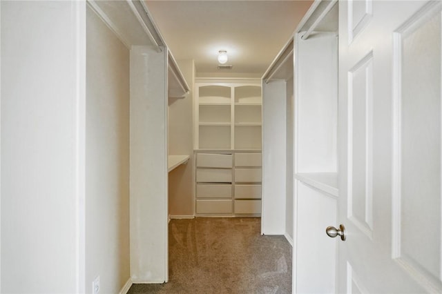7445 Lake Micala Dr, Corpus Christi, TX 78413 - walk in closet featuring carpet