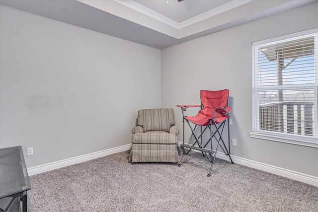 living area with carpet floors, baseboards, and a tray ceiling