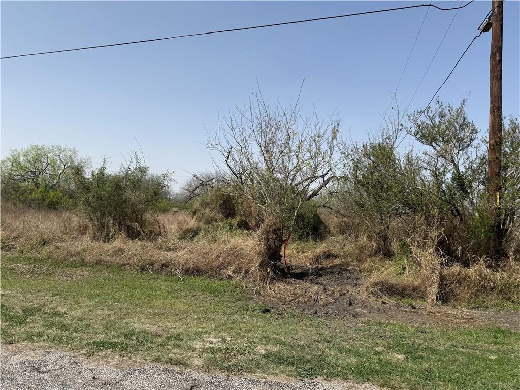TBA2 French St, Alice, TX 78332
