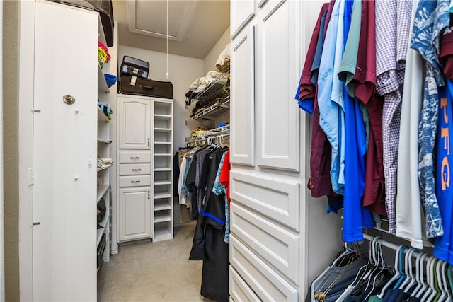 spacious closet featuring light colored carpet