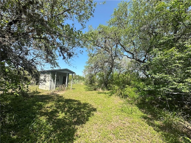 view of yard with a shed and an outbuilding