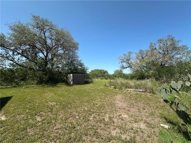 view of yard with a shed and an outbuilding