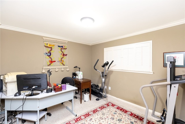 home office with crown molding and carpet