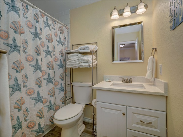 bathroom with toilet, a shower with curtain, and vanity