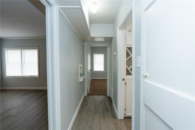 hallway featuring crown molding and hardwood / wood-style floors