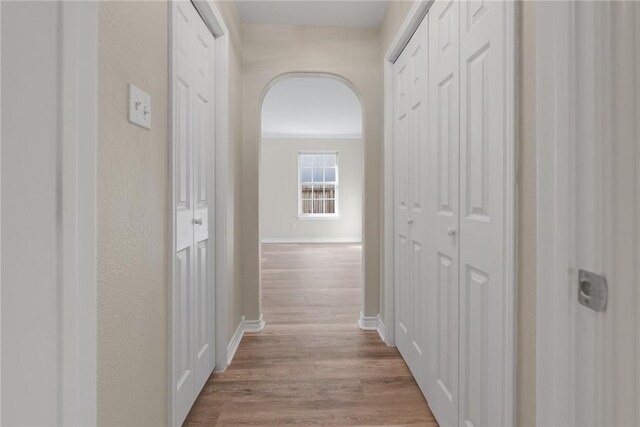 15522 Finistere St, Corpus Christi, TX 78418 - hall featuring light wood finished floors and arched walkways