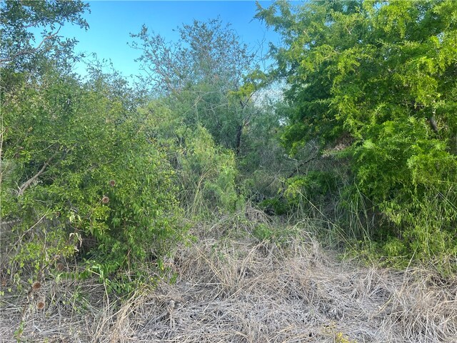 TBD Flores, Mathis TX, 78368 land for sale