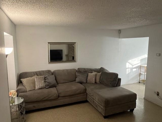 living room featuring a textured ceiling