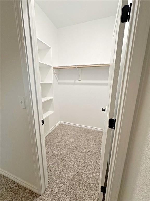 9505 Spanish Oak Dr, Corpus Christi, TX 78410 - walk in closet featuring carpet flooring