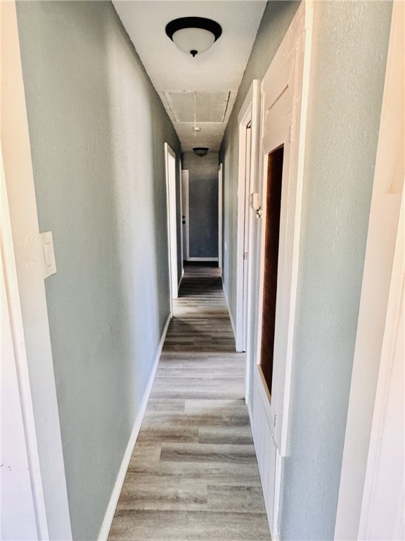 4313 Molina Dr, Corpus Christi, TX 78416 - photo 15