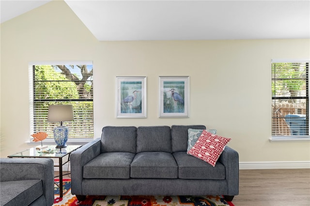 living room featuring lofted ceiling and hardwood / wood-style flooring