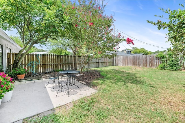 view of yard with a patio area