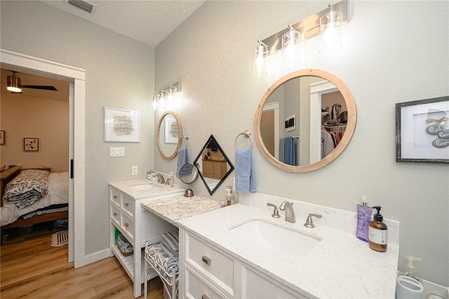 bathroom featuring hardwood / wood-style flooring and vanity