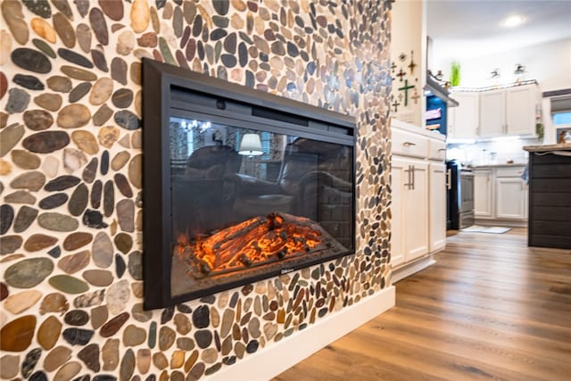 room details with wood-type flooring and stainless steel range with electric stovetop