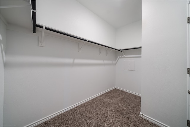 walk in closet featuring dark colored carpet