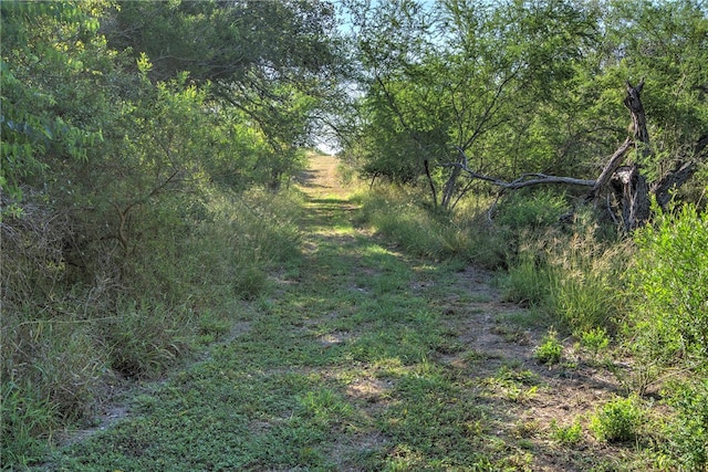 view of nature