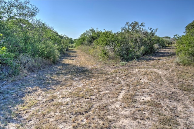 view of landscape featuring a rural view