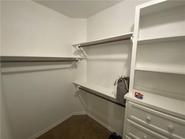 7618 Sable Creek Dr, Corpus Christi, TX 78414 - view of spacious closet