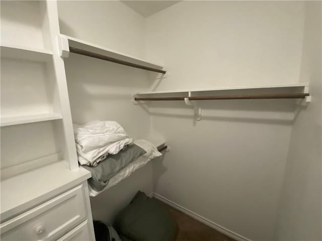 7618 Sable Creek Dr, Corpus Christi, TX 78414 - view of walk in closet