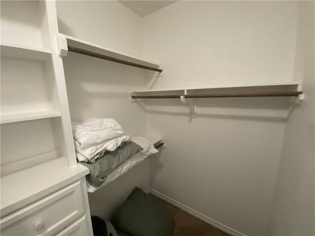 view of walk in closet