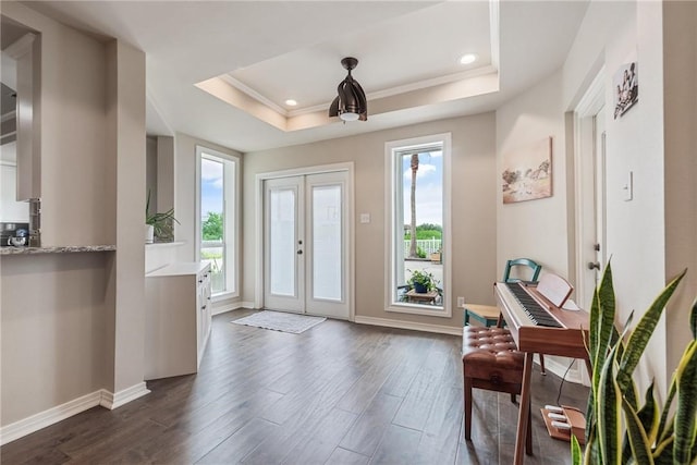 8018 Saint Laurent Dr, Corpus Christi, TX 78414 - foyer featuring a tray ceiling, dark wood-style floors, plenty of natural light, ornamental molding, and recessed lighting