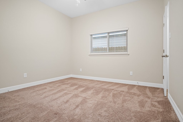 spare room with carpet flooring