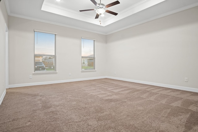 carpeted empty room with ceiling fan, a raised ceiling, and crown molding