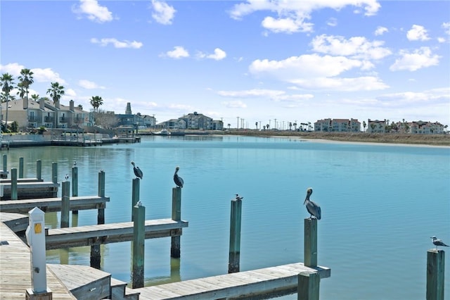 dock area featuring a water view