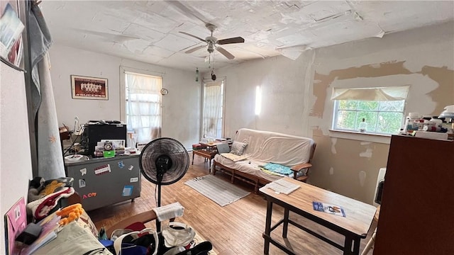 4049 Laguna Shrs, Corpus Christi, TX 78418 - office area featuring a ceiling fan and wood finished floors