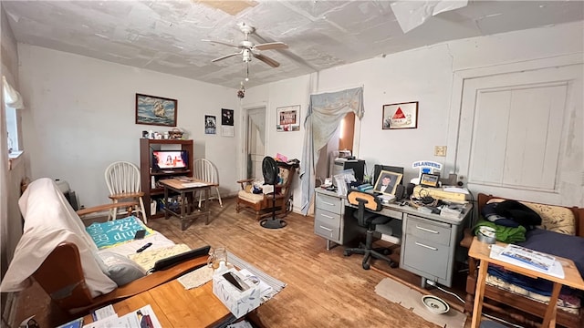 office featuring ceiling fan and light hardwood / wood-style flooring