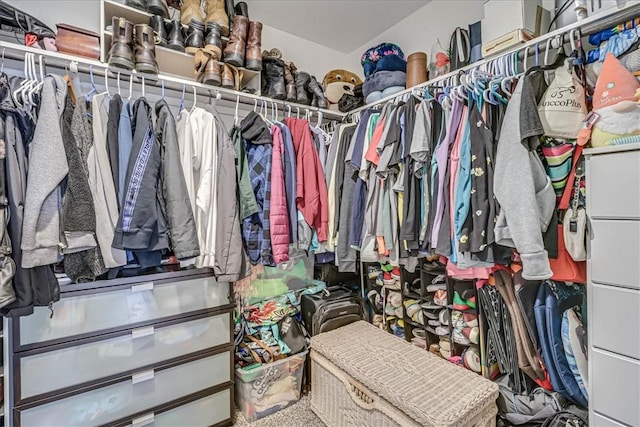 view of walk in closet