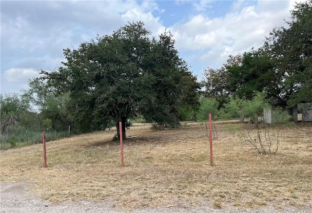 410 Catholic Cemetery Rd, George West, TX 78022 - photo 19