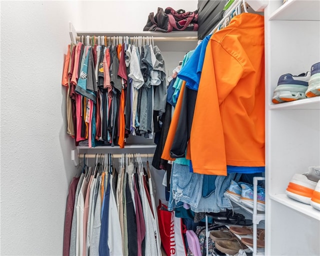 view of spacious closet