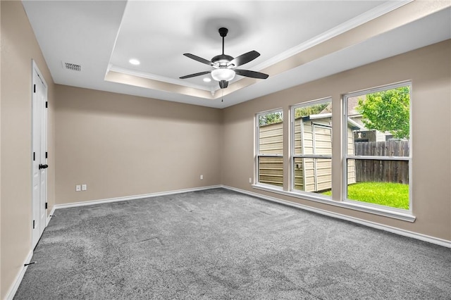 7406 Brush Creek Dr, Corpus Christi, TX 78414 - spare room with a tray ceiling, healthy amount of natural light, carpet, ornamental molding, and baseboards