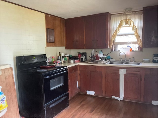 3128 Hackberry Ave, Ingleside, TX 78362 - kitchen featuring black range with electric stovetop, light countertops, dark wood-style floors, and brown cabinetry